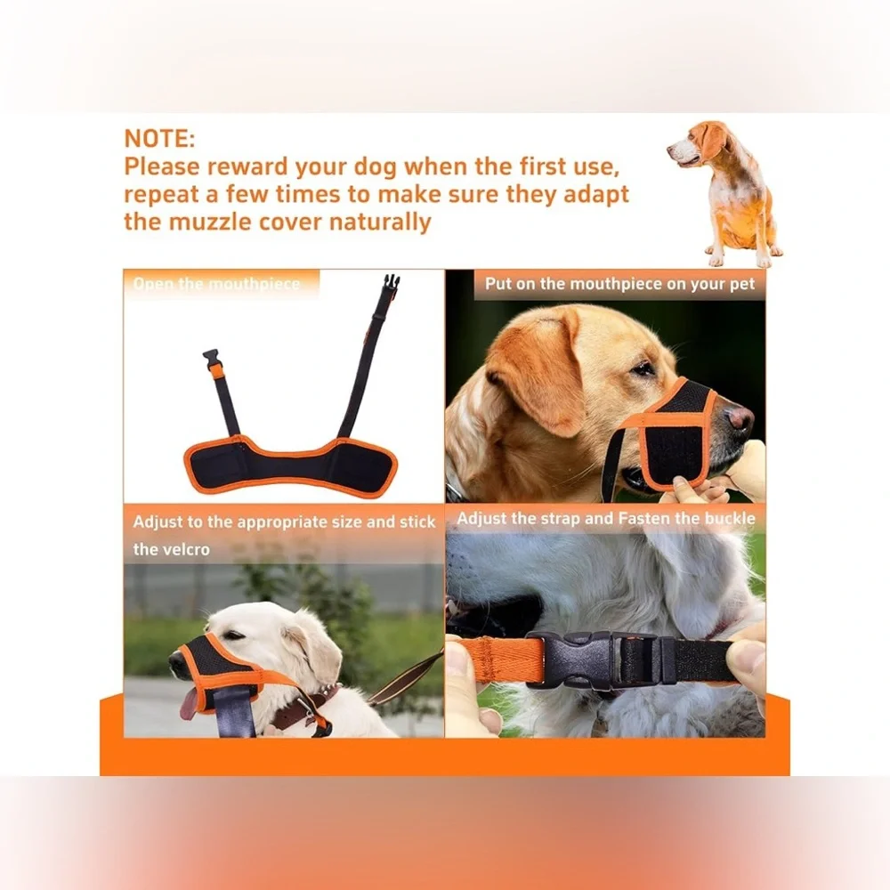 None new dog